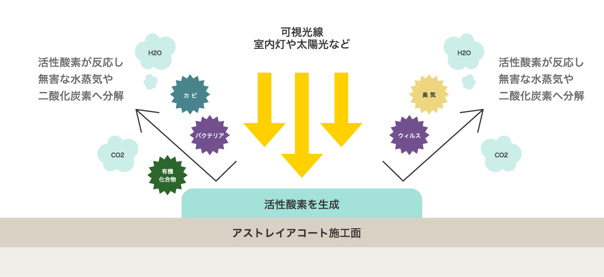 asutreia COATの仕組み